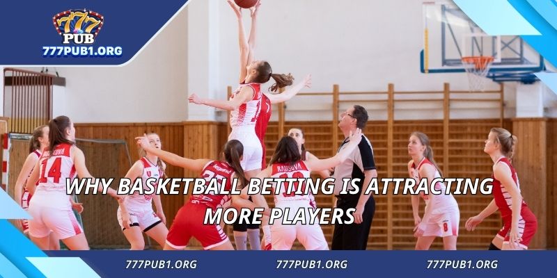 Why basketball betting is attracting more players