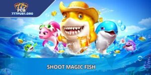 Shoot Magic Fish