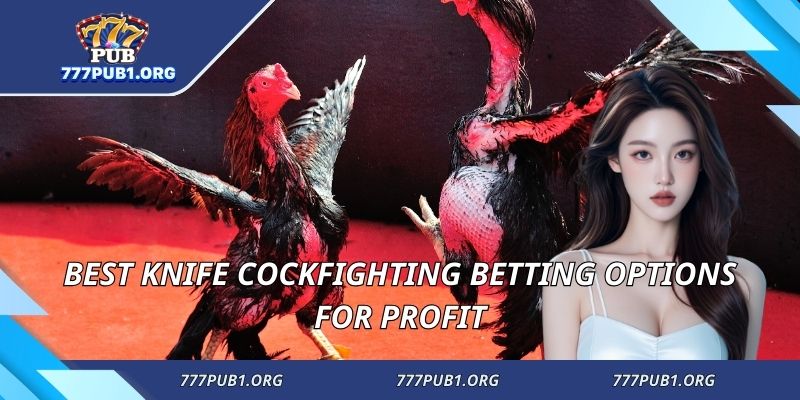 Best Knife Cockfighting betting options for profit