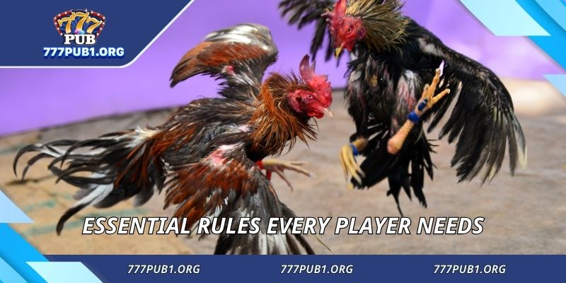 Essential rules every player needs