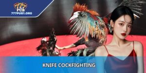 Knife Cockfighting