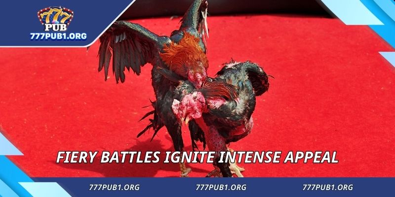 Fiery battles ignite intense appeal