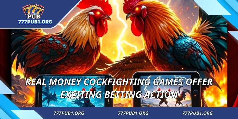 Real money cockfighting games offer exciting betting action