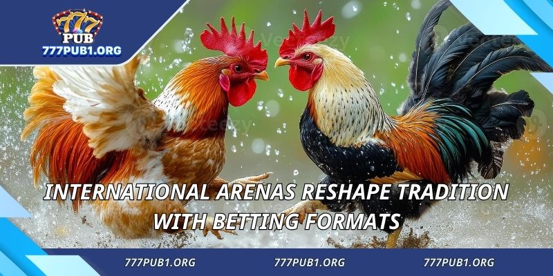 International arenas reshape tradition with betting formats