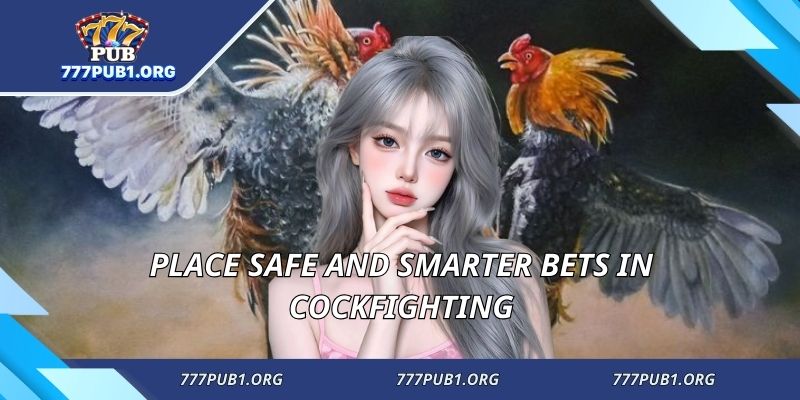 Place safe and smarter bets in cockfighting