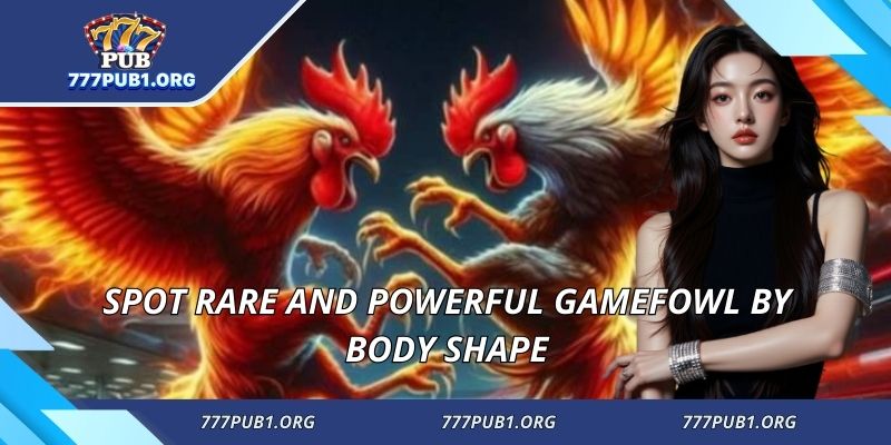 Spot rare and powerful gamefowl by body shape