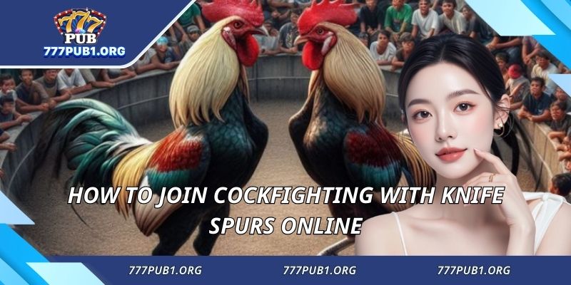 How to join cockfighting with knife spurs online
