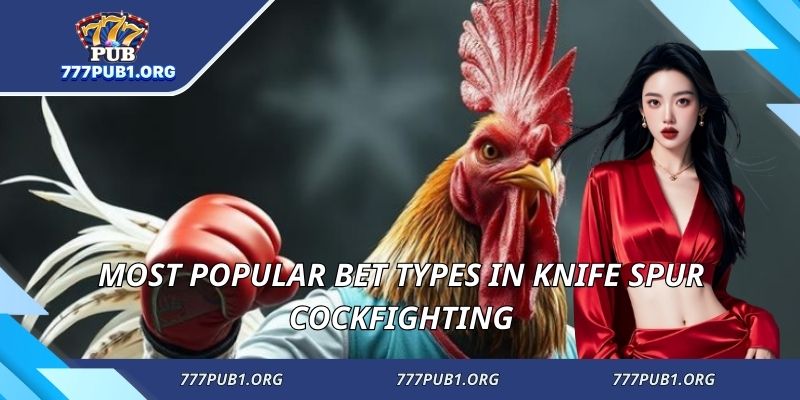 Most popular bet types in knife spur cockfighting