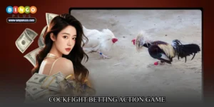 cockfight betting action game