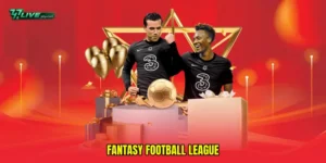 Fantasy football league